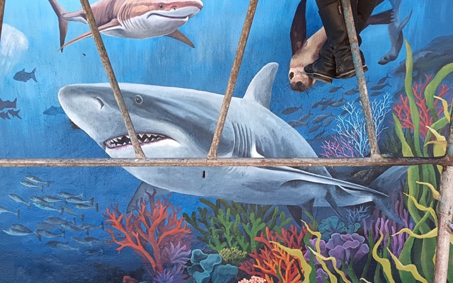 495370684_122183617982283540_3456385725282735811_n_1746607729