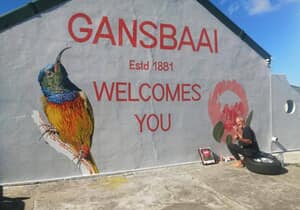 Gansbaai Murals Boost Eco Tourism