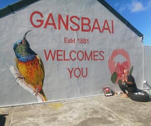 Gansbaai Murals Boost Eco Tourism