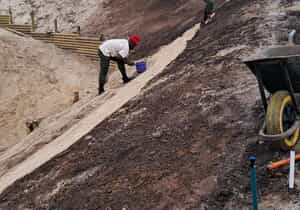 Landscaping with Purpose in Romansbaai