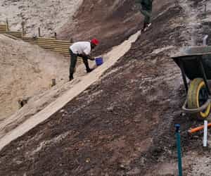 Landscaping with Purpose in Romansbaai