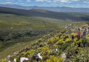 Plan Ahead for 2026!