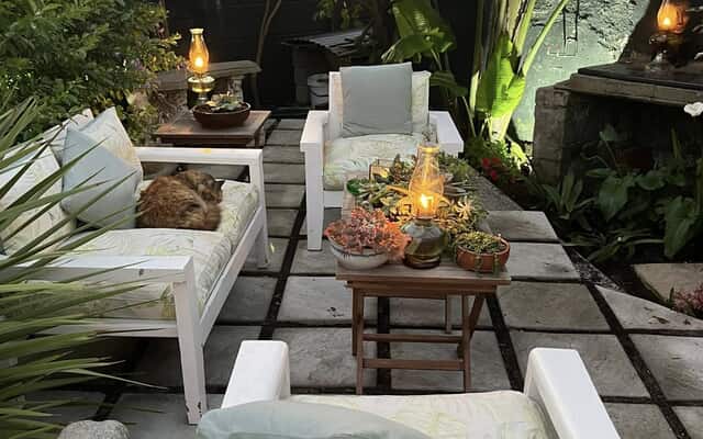 492935030_1323731236099531_1350800813438525118_n_1747118465