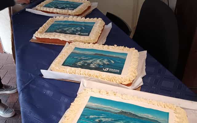 10_May_cakes_1747134380