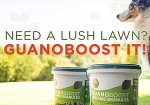 Greener Gardens Start with GuanoBoost!