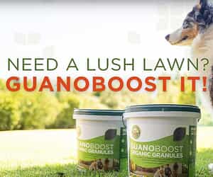 Greener Gardens Start with GuanoBoost!