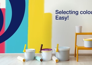 Easy Tips to Choose the Best Interior Paint Colour
