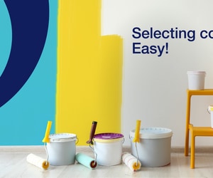 Easy Tips to Choose the Best Interior Paint Colour