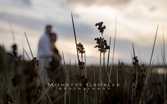 Image_8_1747292007 Image_8_1747292007