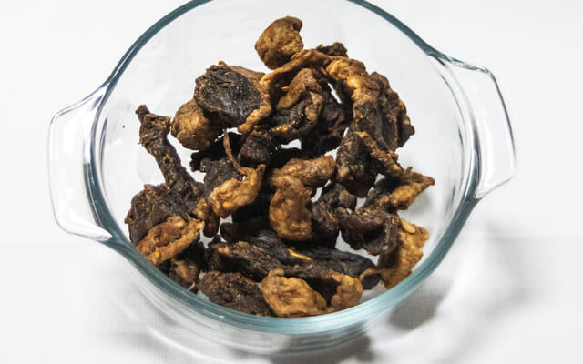 safari_bites_1747292565