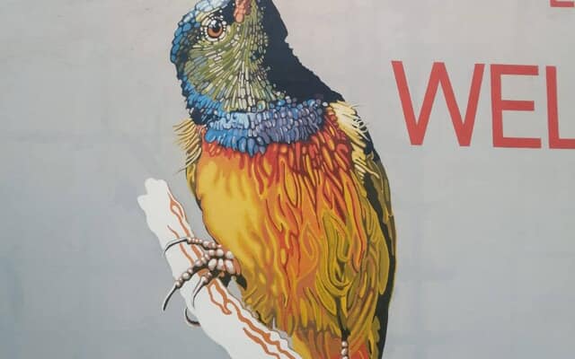 497509722_122185168466283540_5913306413062797802_n_1747378331