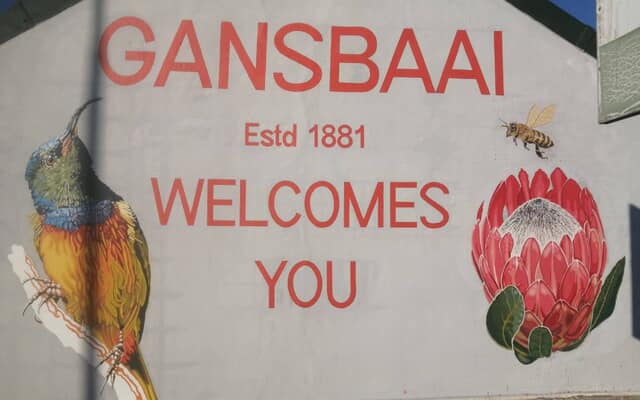 497541356_122185168184283540_878787117681429463_n_1747378329