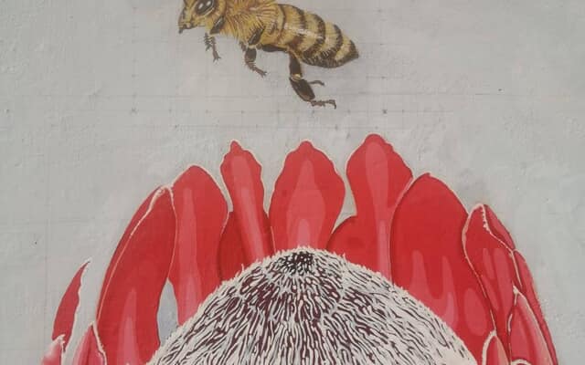 497632708_122185168226283540_5116545662745700818_n_1747378329