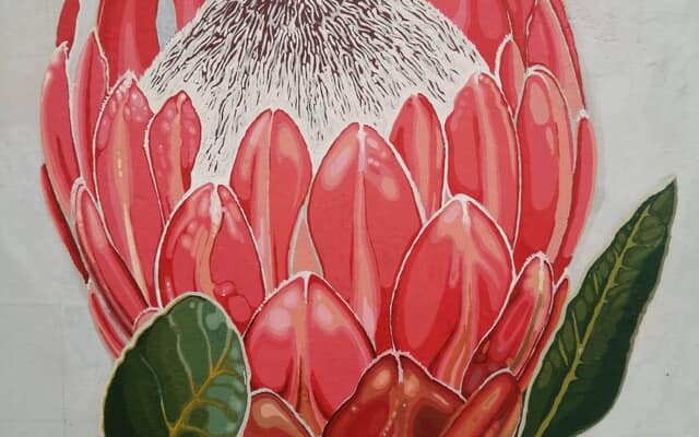 497925369_122185168280283540_2408193238920343547_n_1747378330