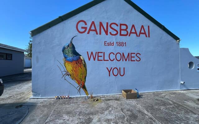 498690161_122185168562283540_4184762937405598542_n_1747378328