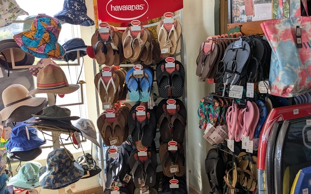 498163742_1260864922710343_4115802678264629985_n_1747403316