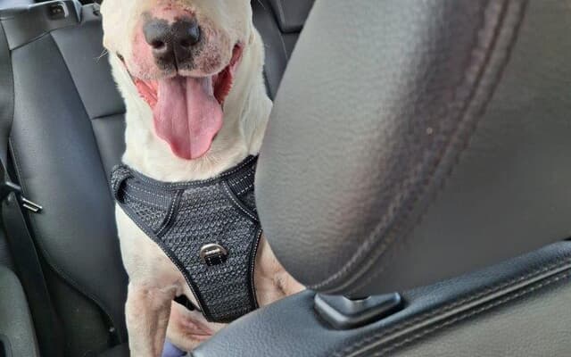 HuisBrand3_1747727229