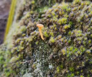 Resilience in the Smallest Things