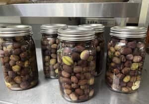 From the Blue Goose Garden