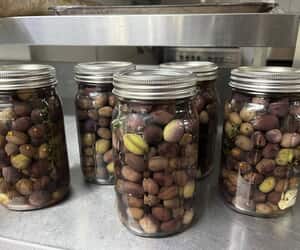 From the Blue Goose Garden