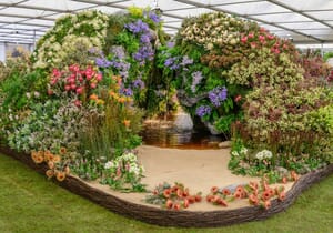 Chelsea Flowers in Stanford