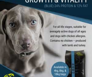 New In-Store at The Pet Grocer!