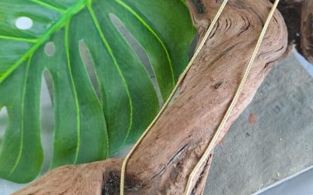 WhatsApp_Image_2025_05_26_at_10.33.44_1748249786