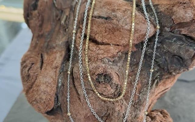 WhatsApp_Image_2025_05_26_at_10.33.48_1748249787