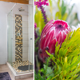 Bathroom - Grown-Ups Getaway Guest House - Xplorio™ Greyton / Genadendal