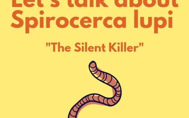 WhatsApp_Image_2025_05_27_at_09.10.12_1748335378