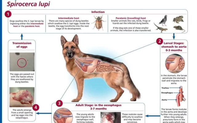 WhatsApp_Image_2025_05_27_at_09.10.13_1748335379