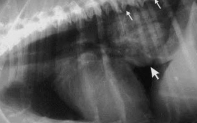 WhatsApp_Image_2025_05_27_at_09.10.14_1_1748335379