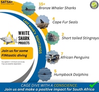 Incredible Sightings This Month!