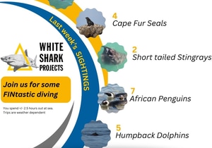 Incredible Sightings This Month!