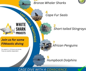 Incredible Sightings This Month!