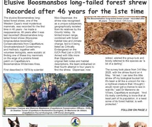 Gans-Berg Newspaper - 30 May 2025 Edition