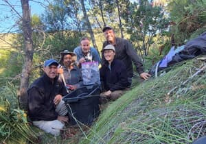 Boosmansbos-langstertbosmuis ná 46 Jaar Weer Opgeteken