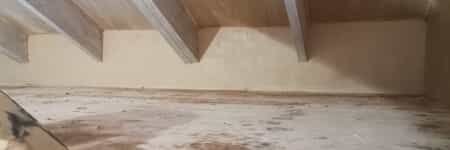 inbound6441507441169688888_1748852769