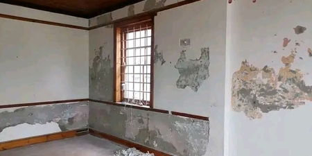 inbound1389624341621586184_1748852898