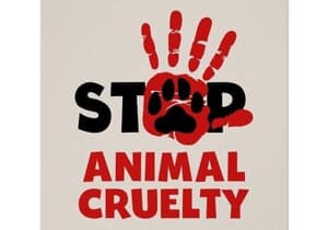 Help Us Help Them - SAWS Needs Your Support