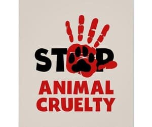 Help Us Help Them - SAWS Needs Your Support