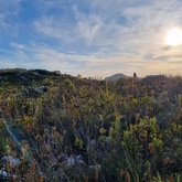 Fynbos Landscape  - Ansell Expeditions - Xplorio™ Gansbaai