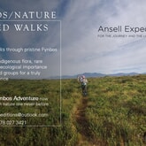 Fynbos or Nature Walks - Ansell Expeditions - Xplorio™ Gansbaai
