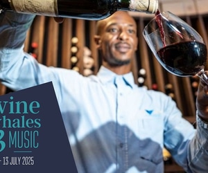 11 - 13 July 2025: Wine, Whales and Music 2025