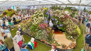 SA wins another Gold at RHS Chelsea Flower Show