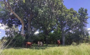 Why Conservation Doesn’t Have to Choose Between People and Nature