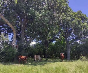 Why Conservation Doesn’t Have to Choose Between People and Nature