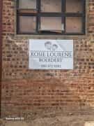 Dahua Camera Installation in Napier