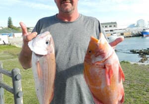 Birkenhead Boothengelklub Birkenheaders goed op dreef