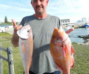 Birkenhead Boothengelklub Birkenheaders goed op dreef